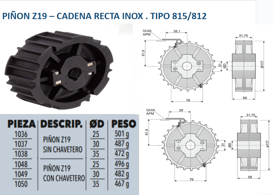 piñón Z19 Cadena recta inox — FEMYD